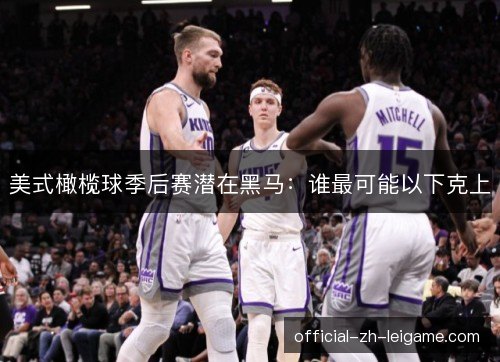 美式橄榄球季后赛潜在黑马：谁最可能以下克上