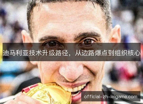 迪马利亚技术升级路径，从边路爆点到组织核心